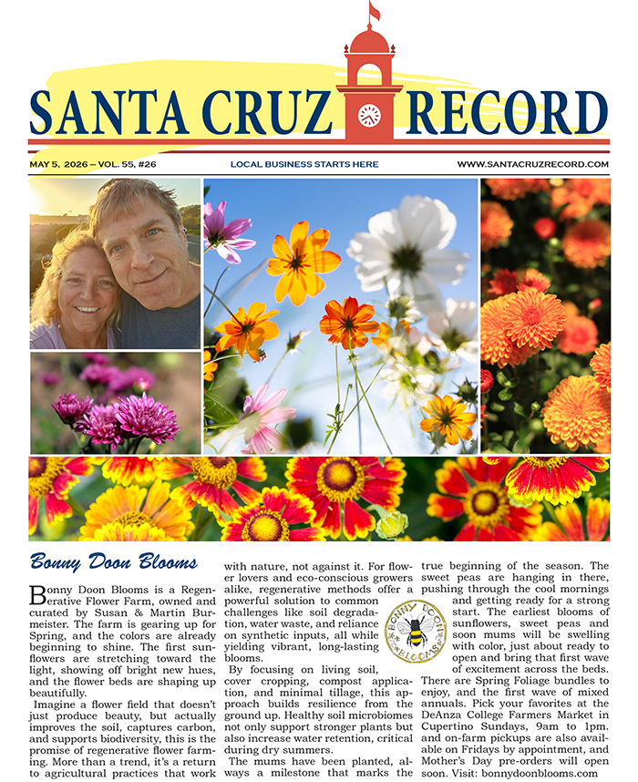 scr5-5-26 P Cover